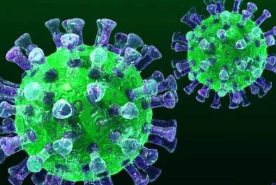 koronavirus