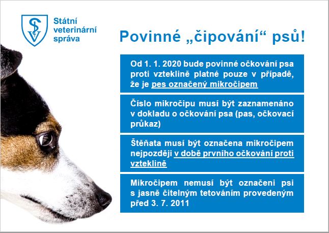 ockovani psu 2019