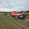 PROJEKT – Ovocná alej ke Přímu II.