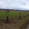 PROJEKT – Ovocná alej ke Přímu II.